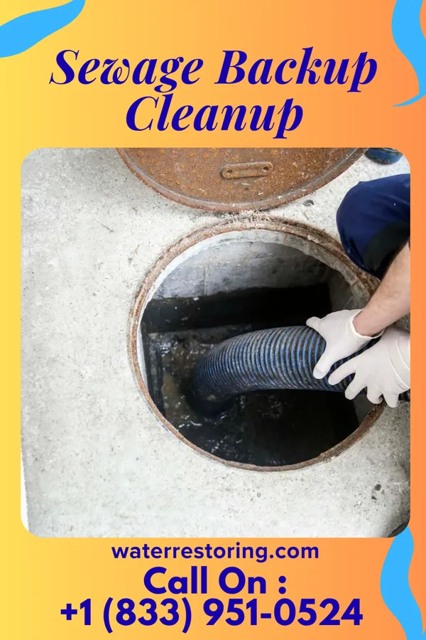 Sewage Backup Cleanup in West Okoboji, IA