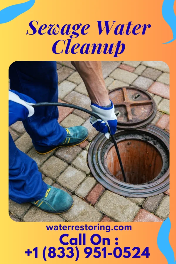 Sewage Water Cleanup in West Okoboji, IA